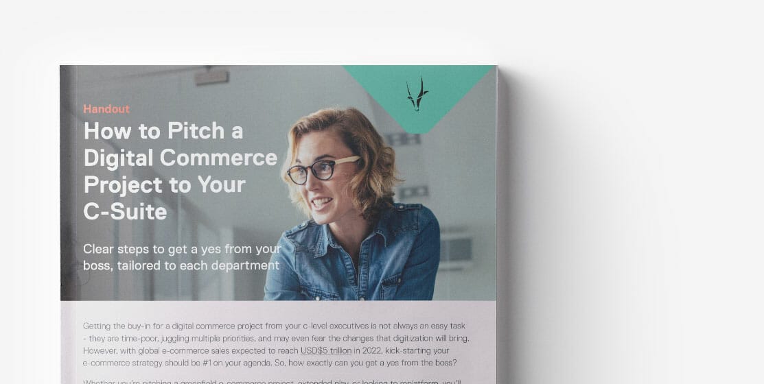 Handout cover titled "How to Pitch an E-commerce Project to Your C-Suite" with a subheading about clear steps to get approval, featuring a woman with glasses smiling.