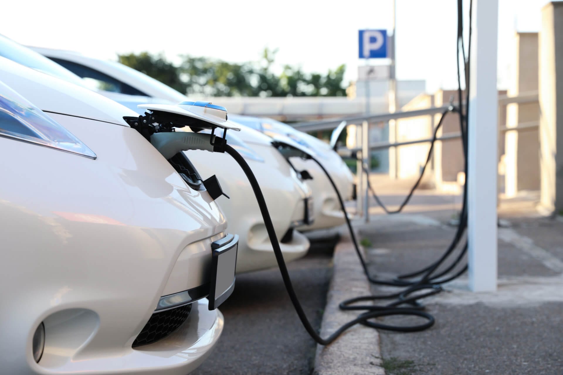 A row of white electric cars is parked at a charging station, each connected to a charging cable. The background shows a sunny day with trees and buildings, and a parking sign is visible.
