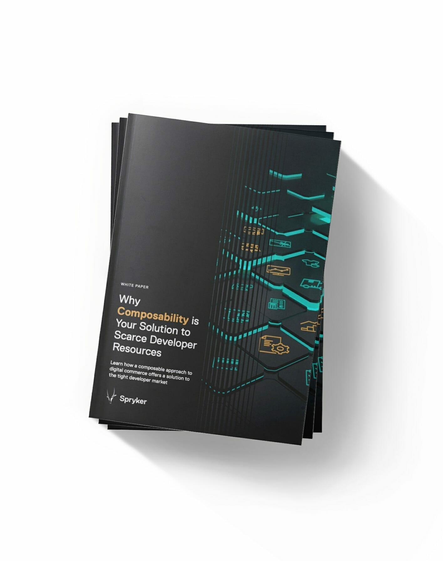 cover for challenges in recruiting developers handout