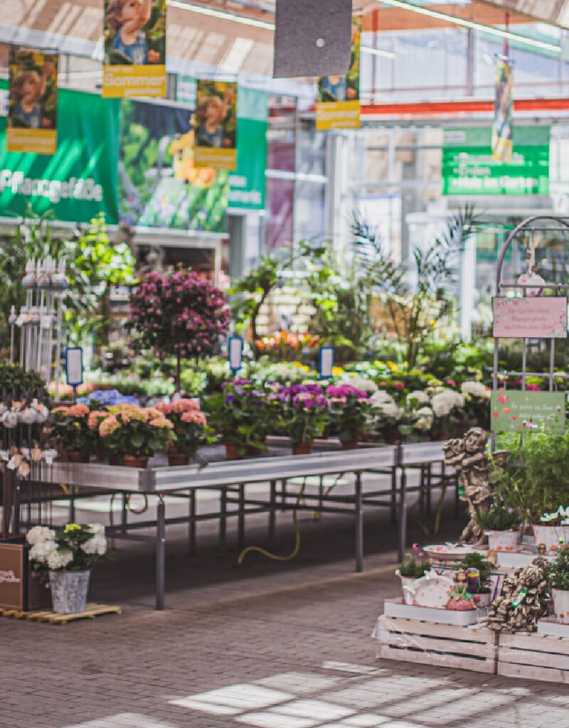 A well-organized flower shop, reminiscent of Marco Knecht's meticulous attention to detail, displays a variety of potted plants, flowers, and greenery on tables and stacked crates.