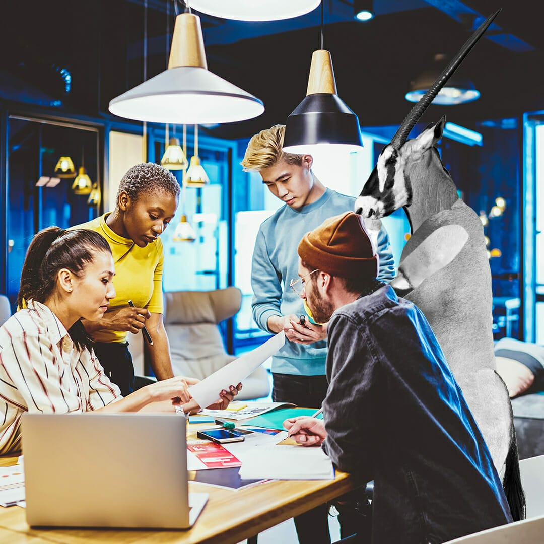 A group of people, including an anthropomorphic gazelle, collaborate on a project around a table in a modern office setting, embodying the spirit of our Community Page.