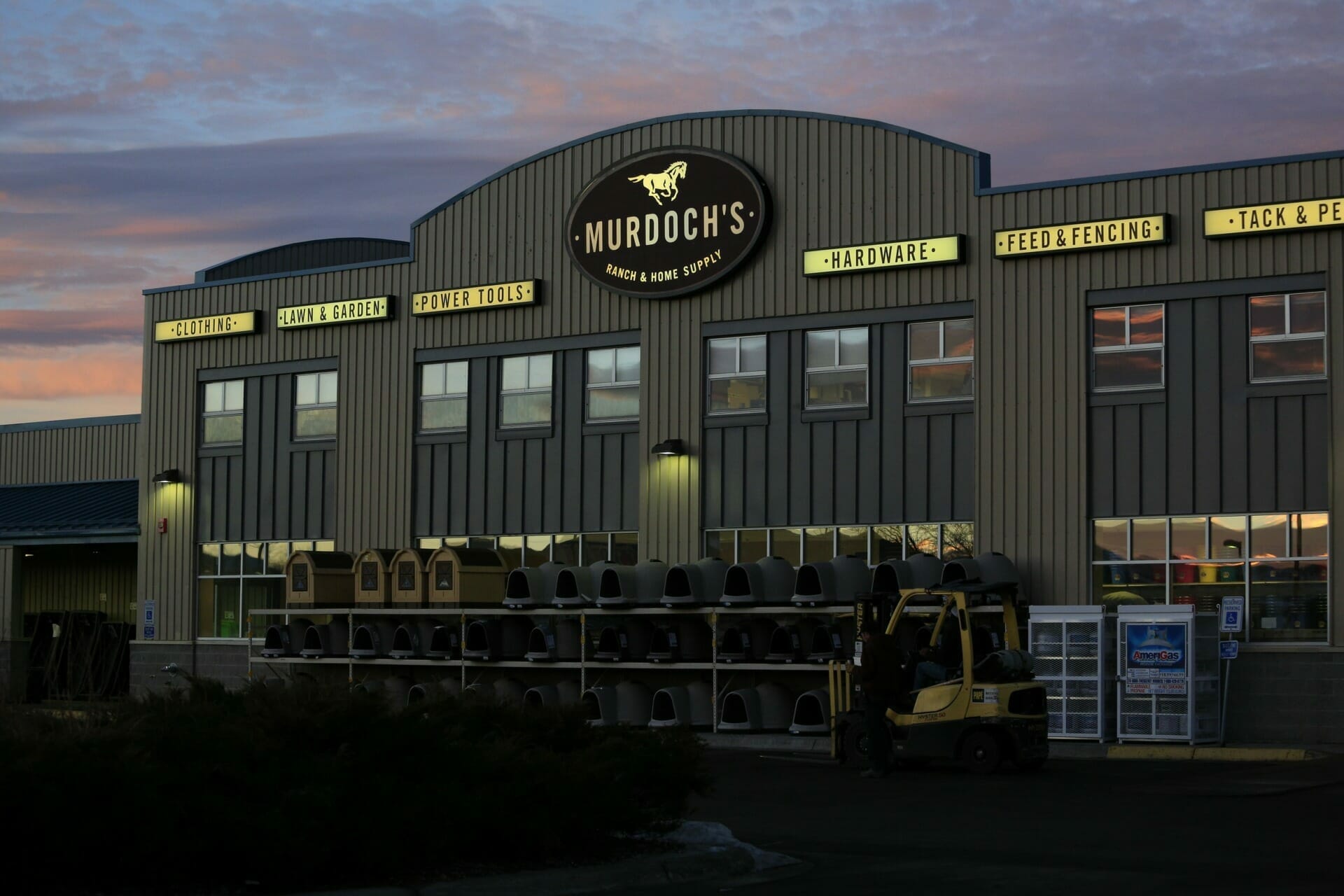 Murdoch's