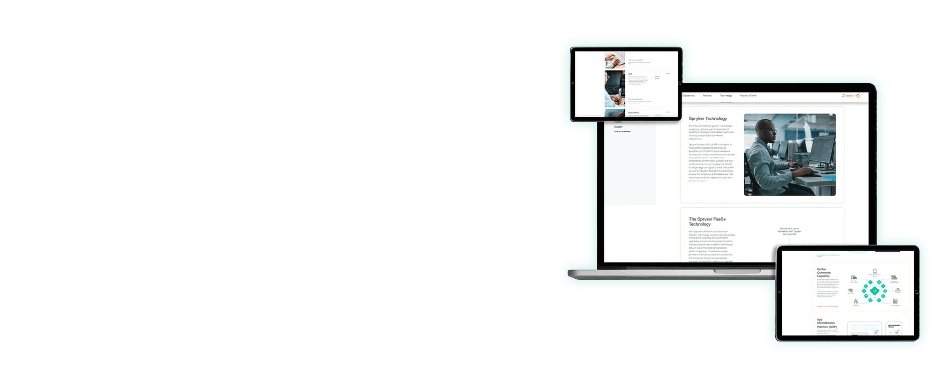 Screen shots of product portal